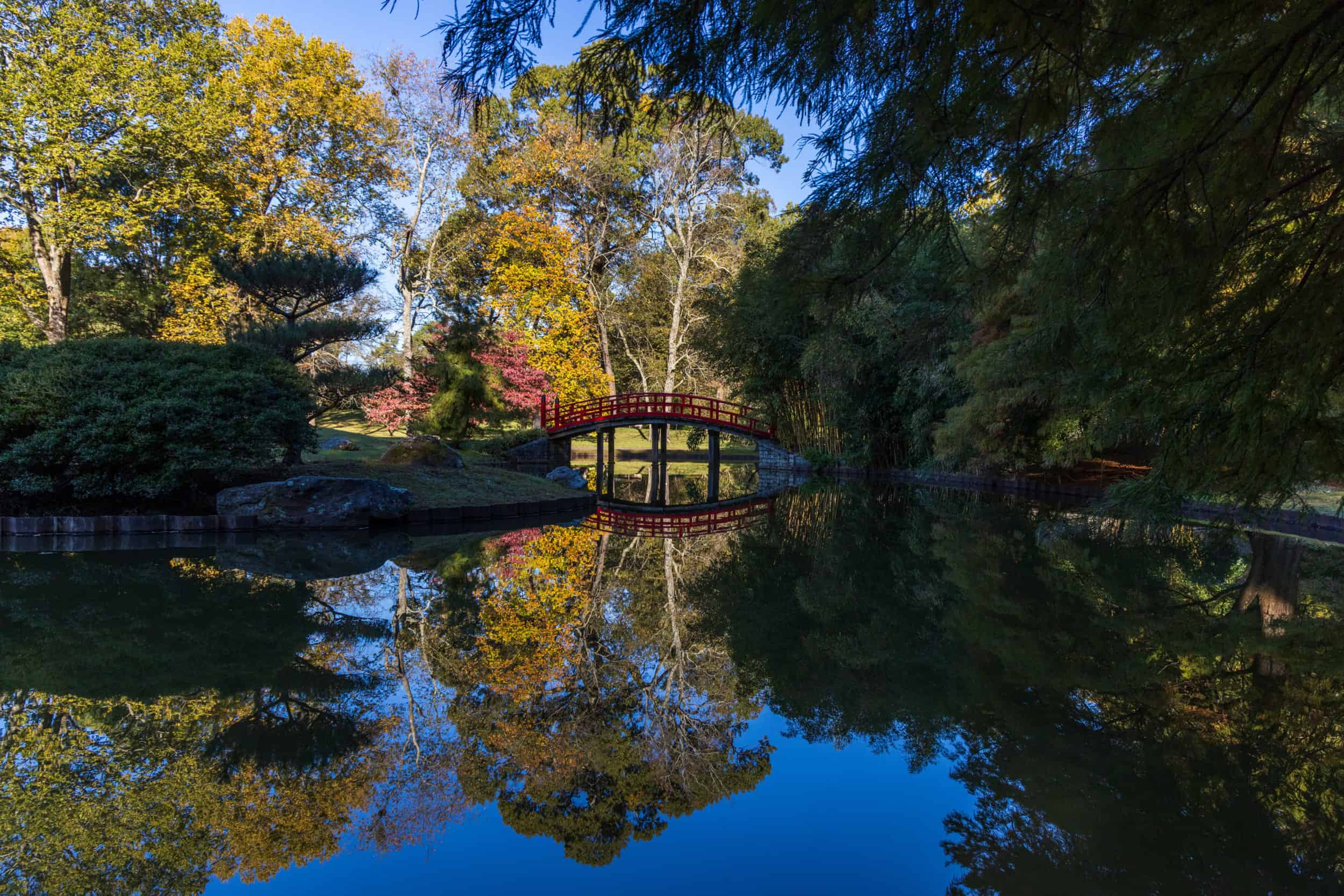 Memphis Botanic Garden